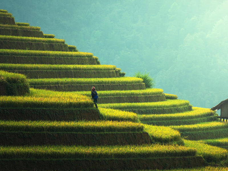 A person standing on top of a green hill.