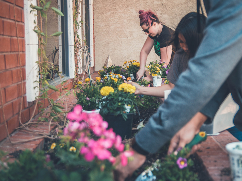 A woman and man working on flowers in pots.