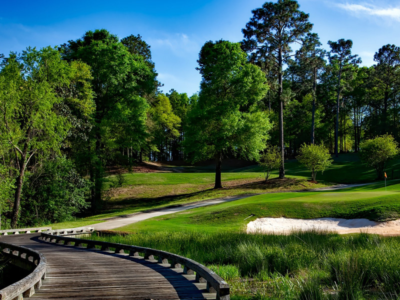 A view of a golf course with trees and grass.